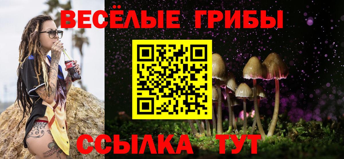 Псилоцибиновые грибы MAGIC MUSHROOMS  Вход с VPN  где купить   Галлюциногенные грибы MAGIC MUSHROOMS  Саранск 