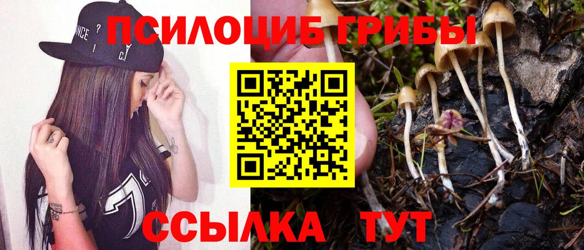 Псилоцибиновые грибы GOLDEN TEACHER Саранск